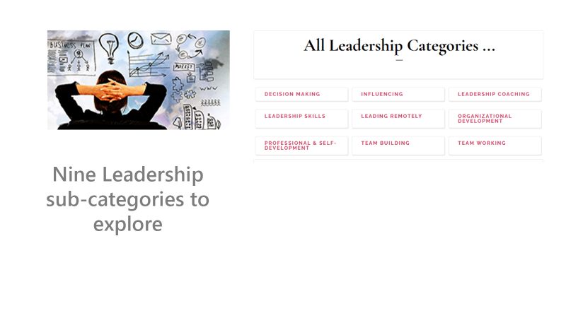 TourGuideWelcomepage_07_2 Leadership sub-categories